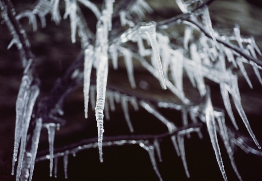 Ice on the Sheltowee Trace